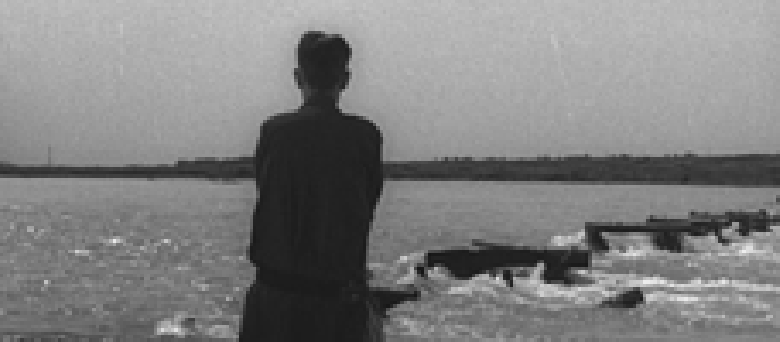 Older Brother, Younger Sister