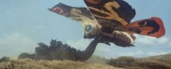 Mothra vs. Godzilla image